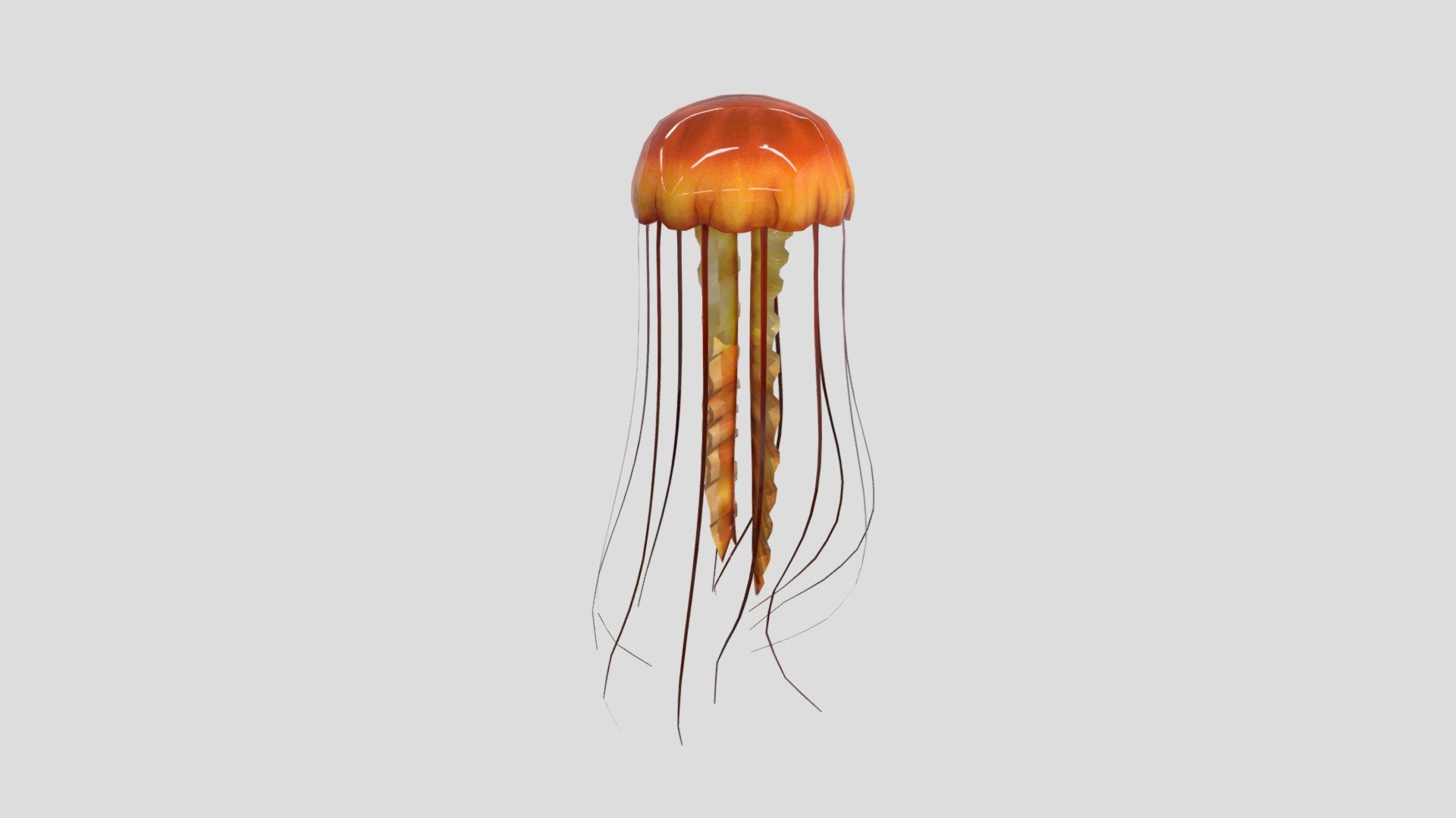 Jellyfish2