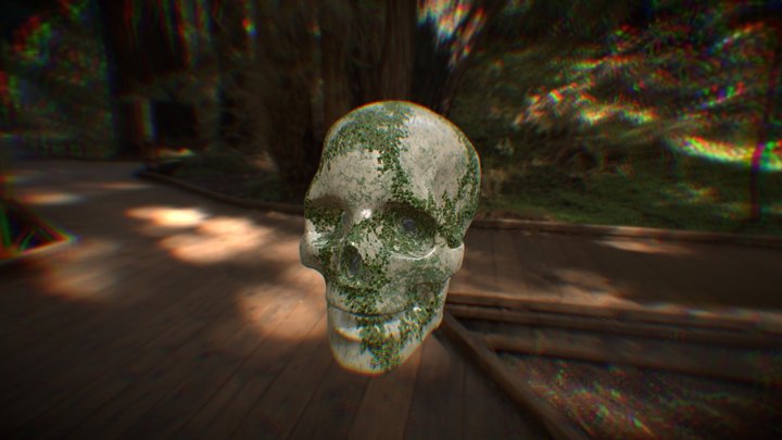 skull texture attempt 3D Model