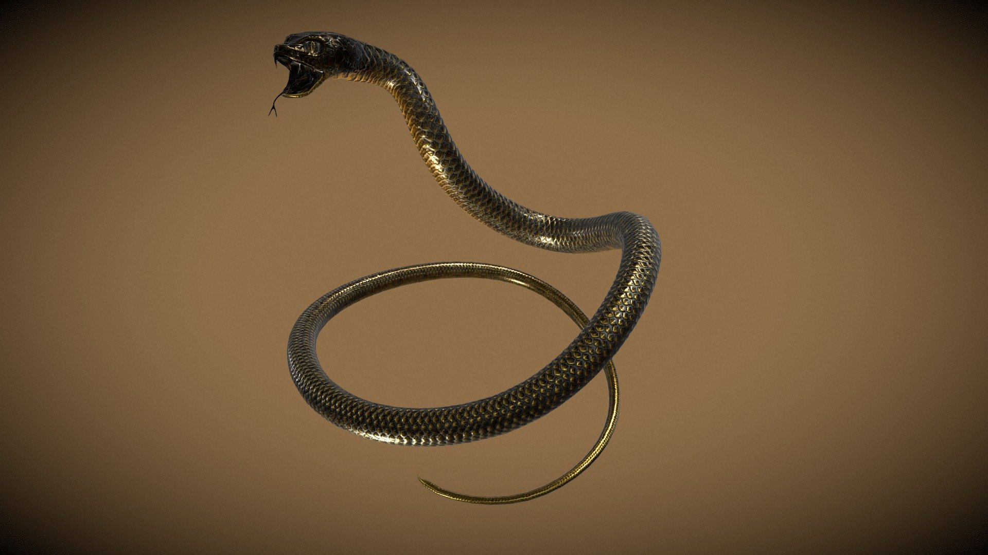 Snakes 3D models - Sketchfab