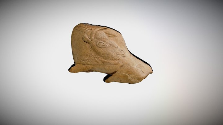 "Bison se léchant" - Les Eyzies 3D Model