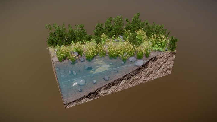 Realistic Water and Plants
