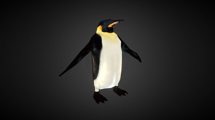 Vard 3D Model