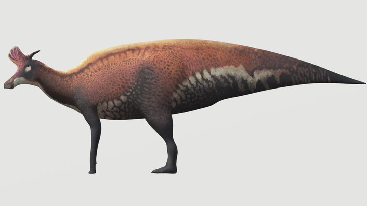 Accurate Lambeosaurus – Free 3D Model STL