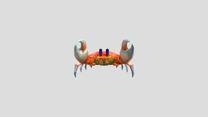 Chitin on Crab 3D Model