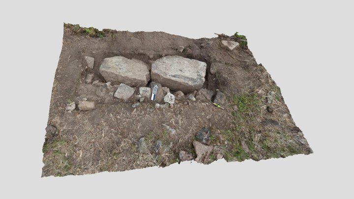 Benemerito Subop 19A 3D Model