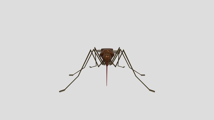 MOSQUITO 3D Model