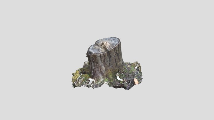Stump 2 6 – Modelo 3D gratuito STL