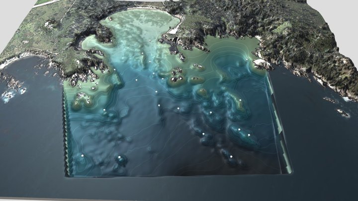 Point Lobos State Marine Reserve 3D Model