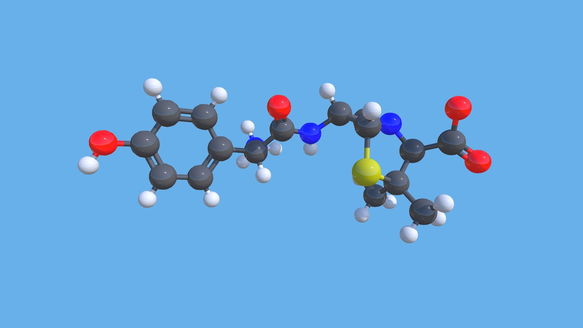 Amoxicillin Ball-and-Stick Model at pH=7.4