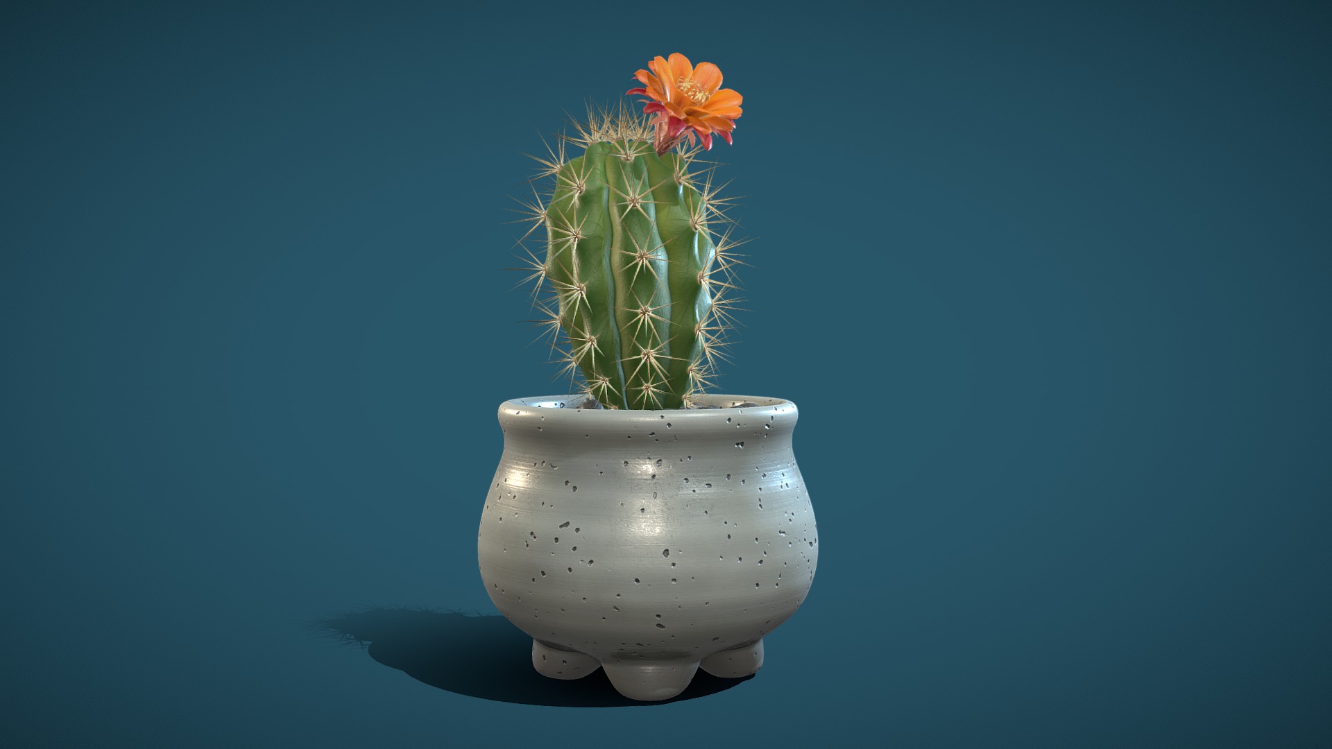 3D model Cactus 02 - This is a 3D model of the Cactus 02. The 3D model is about a flower in a vase.