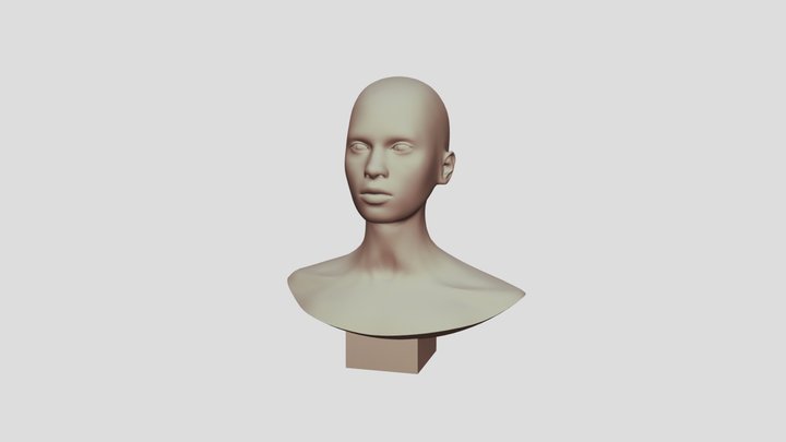 HEAD_DIGITAL 3D Model