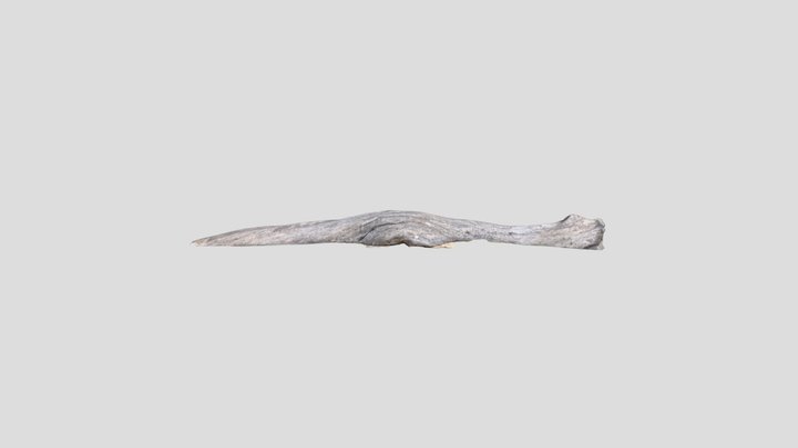 Scan 2023-05-11T16:59:37.645Z 3D Model