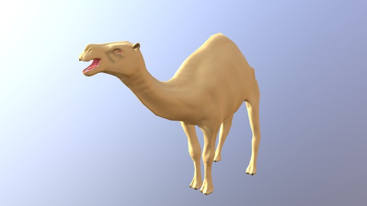 Camel 01 3D Model
