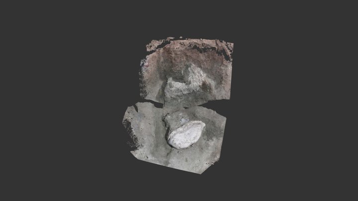 Test 3D Model