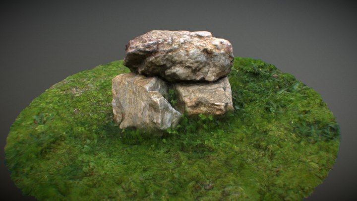 Garden Rocks 3D Scan! 3D Model