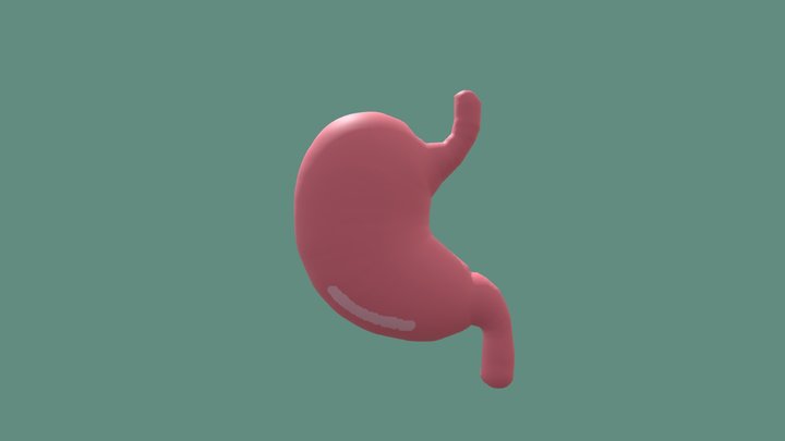 lambung 3D Model