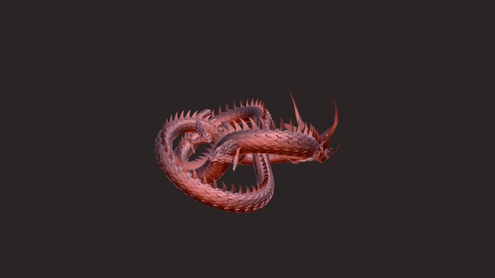 torus_knot_dragon_and_pearl 3D Model