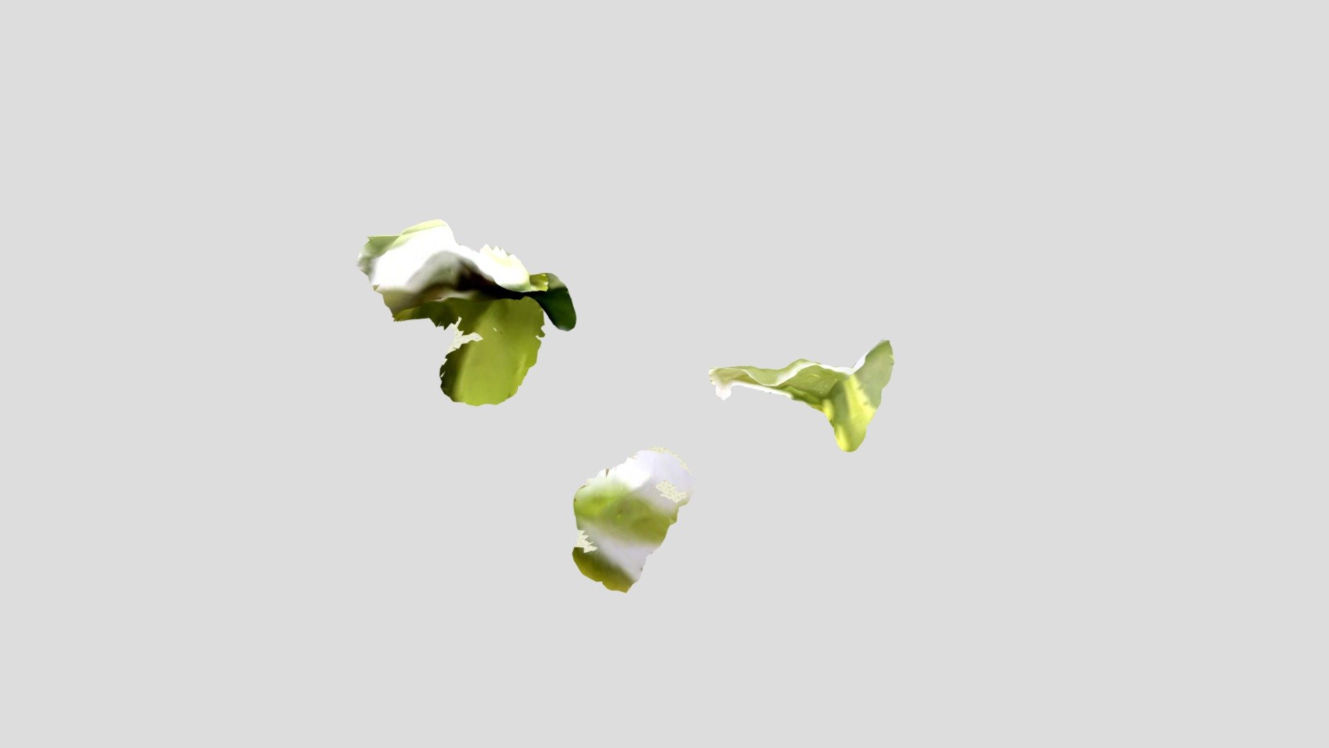 A TRNIO Model