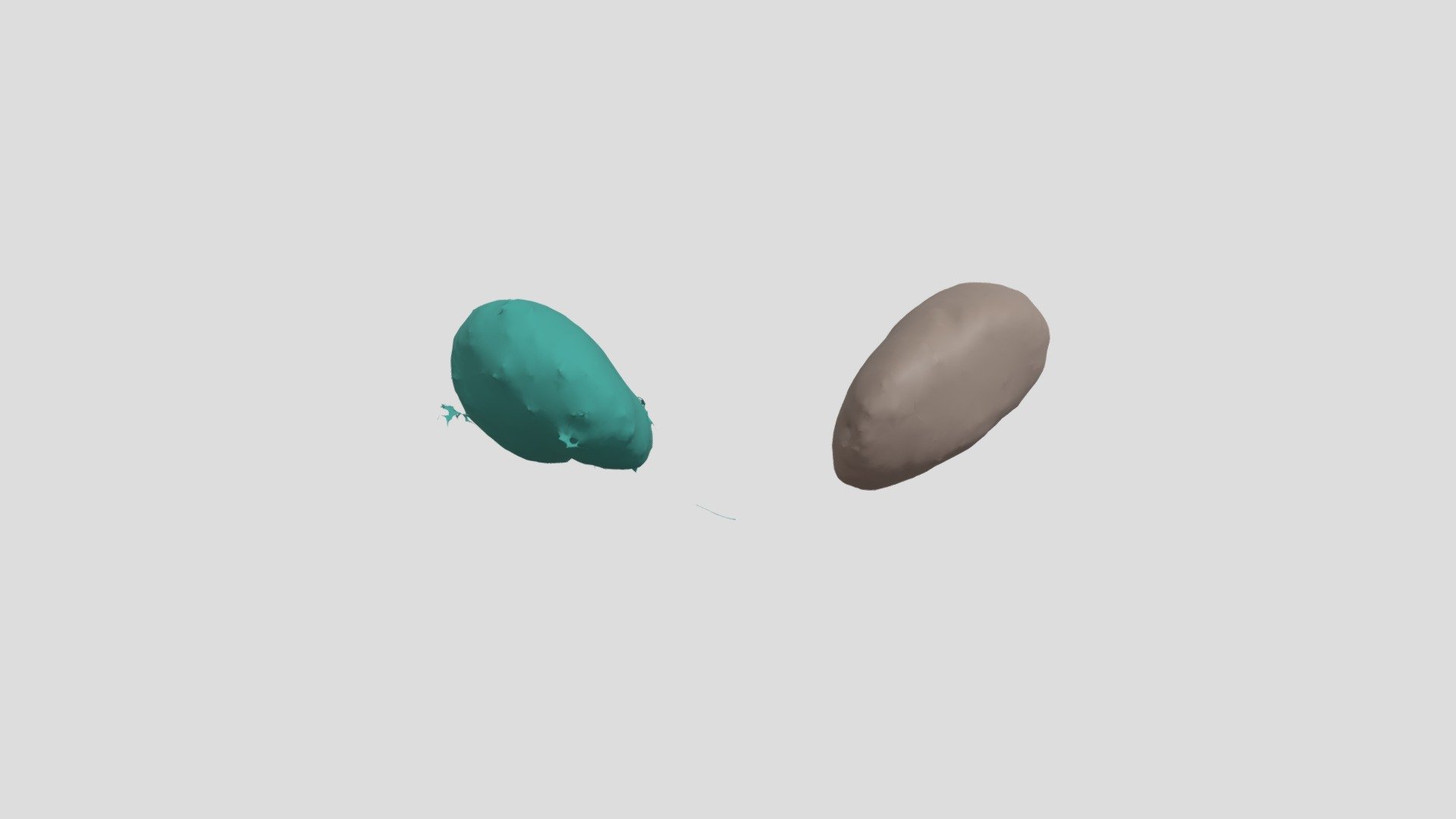 CTA Cardio Segmentation
