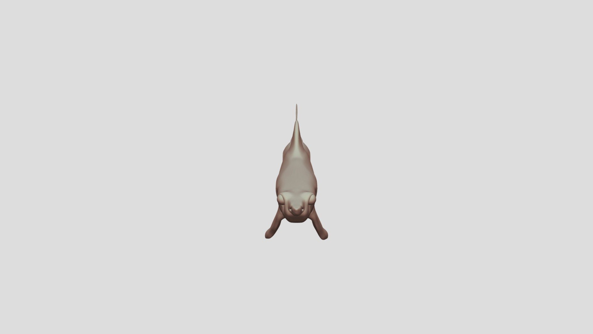 Sharky