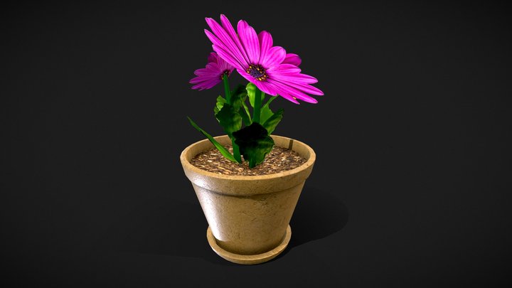 Flower in a pot 3D Model