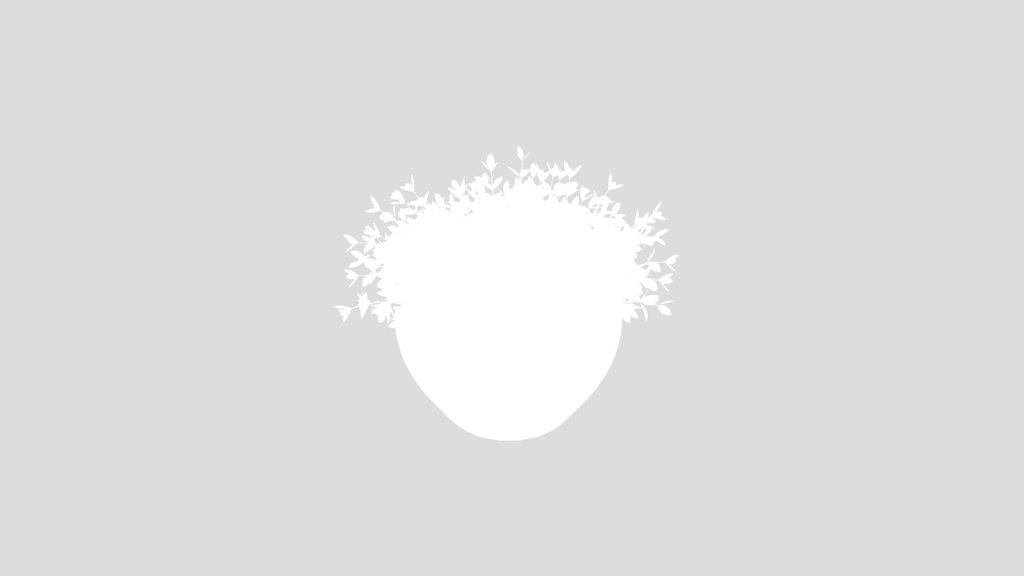 Potted Green Plant