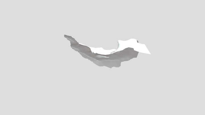 Model 3D Model