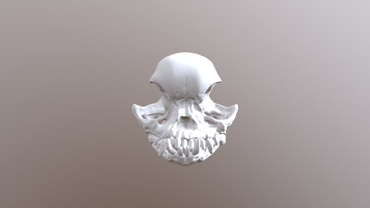 Pug Skull 3D Model