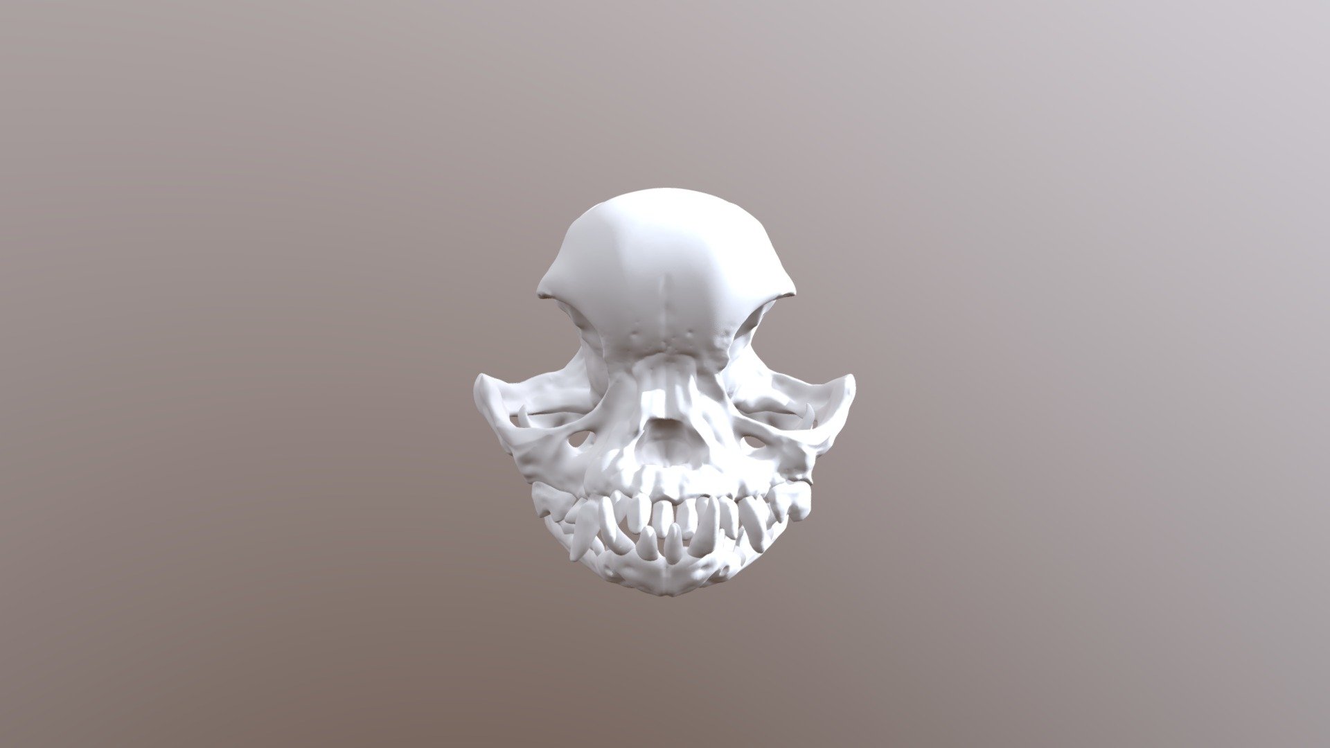 Pug Skull Download Free 3D Model By Voxinaudita Voxinaudita   453a79494a7f4e608b37dafe23c5b266 