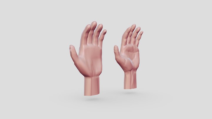 Rigged Sculpted Hand 3D Model