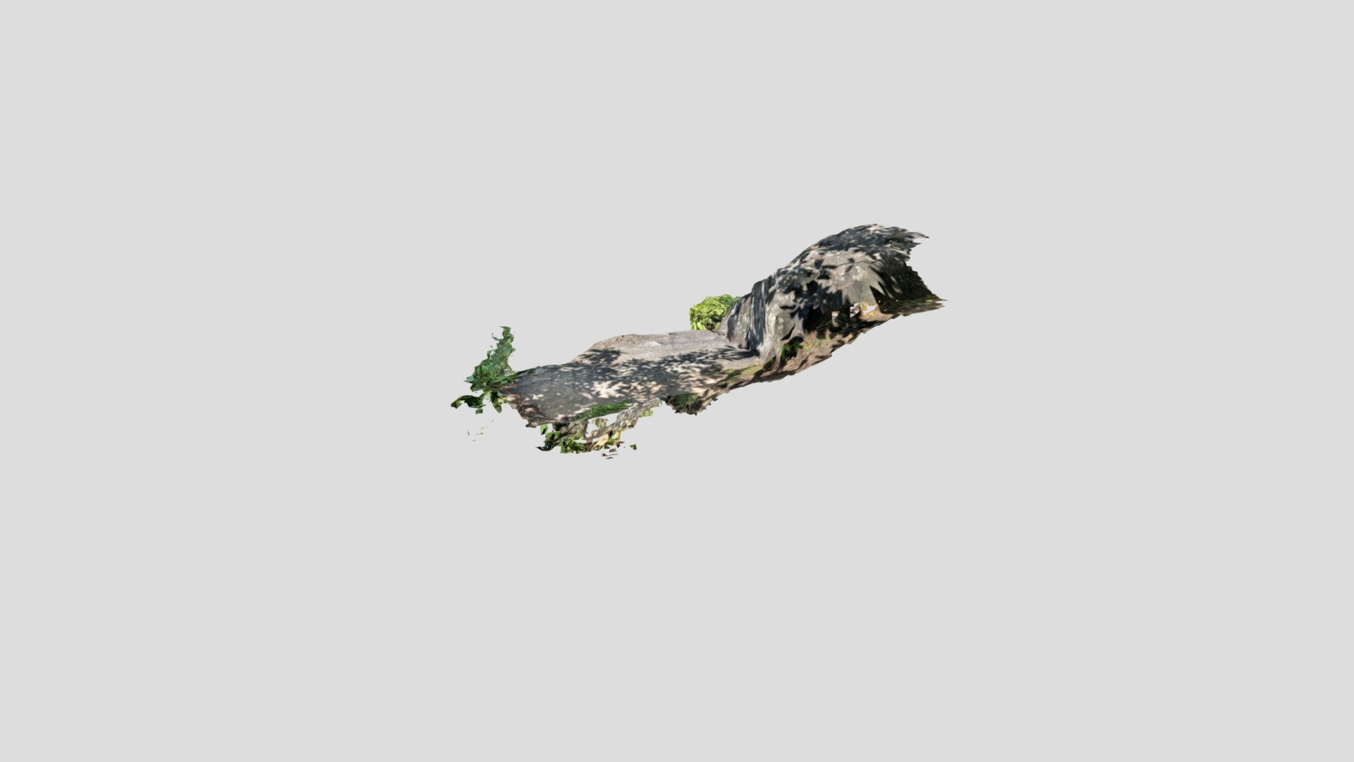 DSL5 Download Free 3D model by [ff5f9cf] Sketchfab