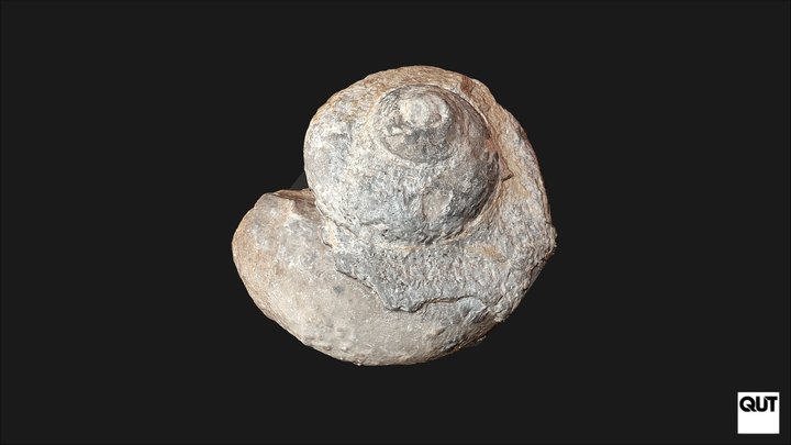 ERB102 Depositional Environments Specimen 23 3D Model