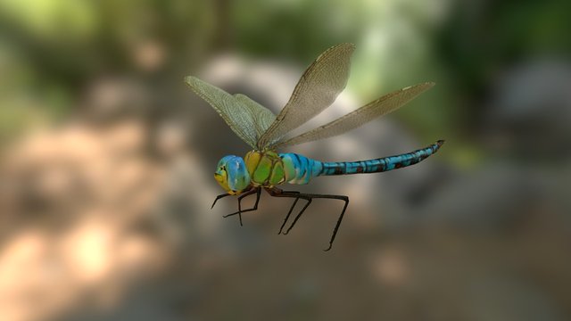 Dragon fly tsar 3D Model