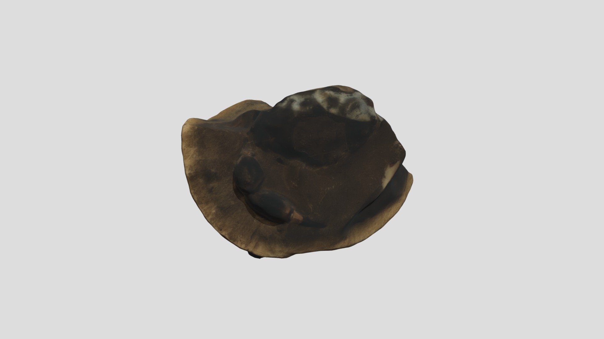 GEOL212 Crab