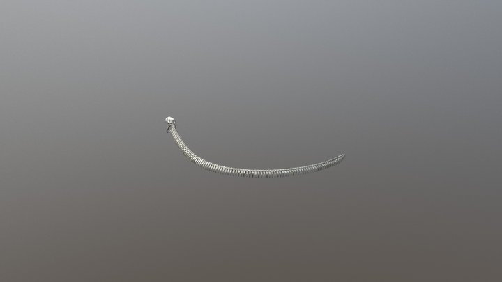 Bone Snake 3D Model