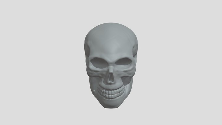 骷髅头ZBrush模型 3D Model