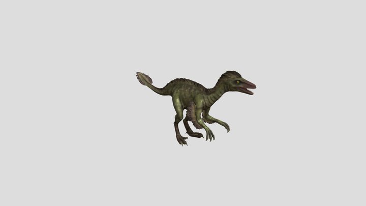 Troodon 3D Model
