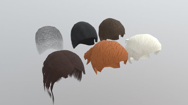 Character Hair Caps 3D Model