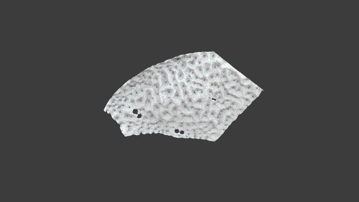 Fish Scale Leggings | 3D model