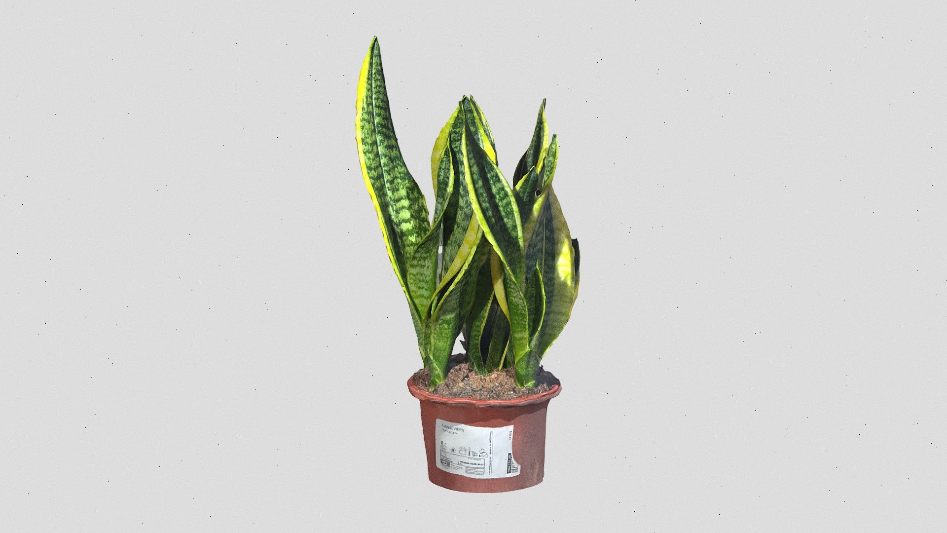 Home Plant - Download Free 3D model by Gatman.ph [ff6ec86] - Sketchfab