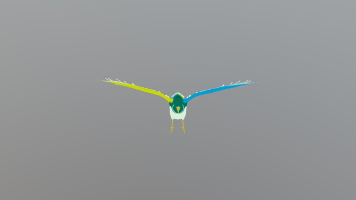 #09_bird 3D Model