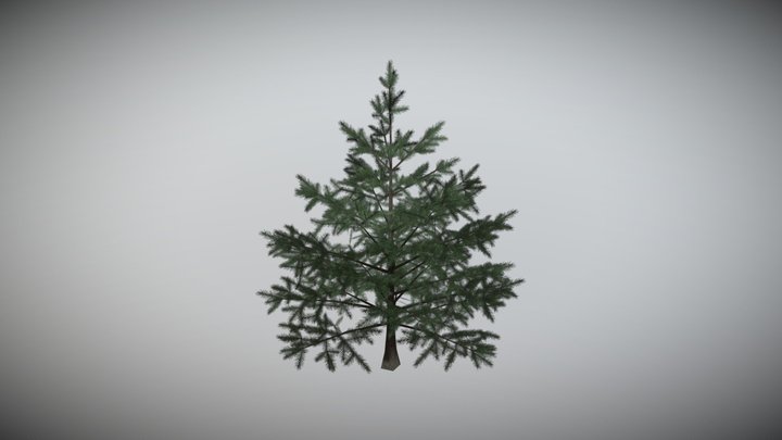 Noel_Pine_Tree 3D Model