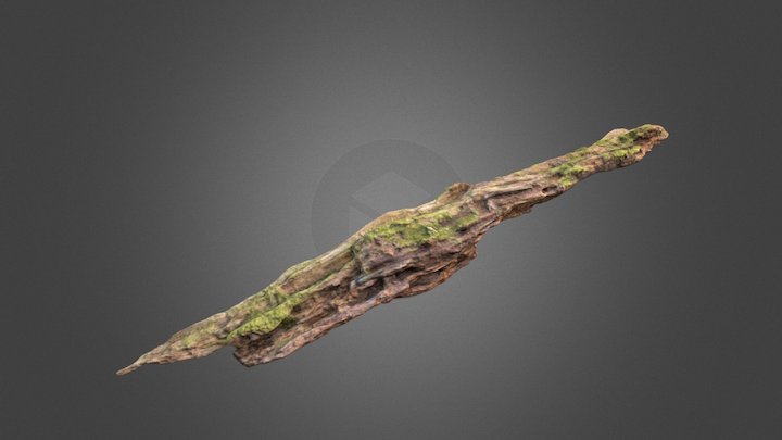 Photoscanned Log 3D Model