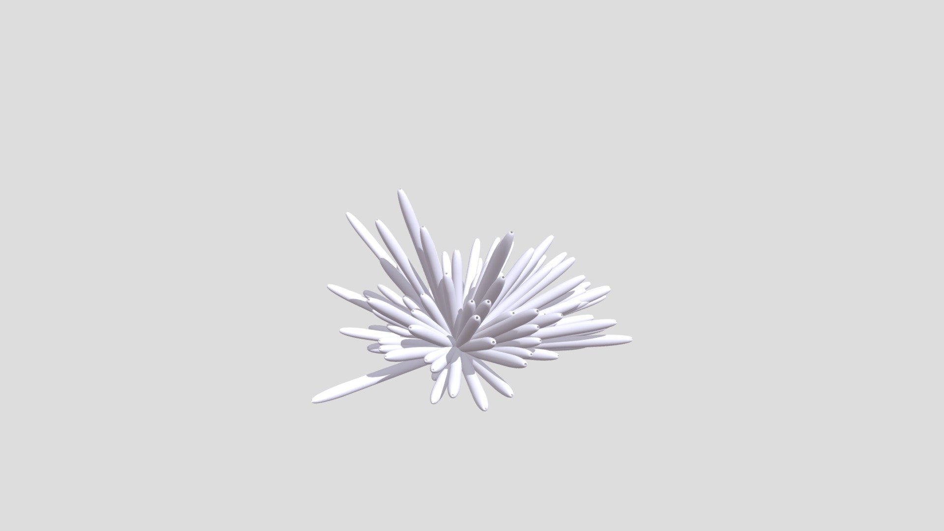Parametric Coral Jing Shean
