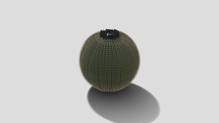 the desert plant kit cactus 2 3D Model
