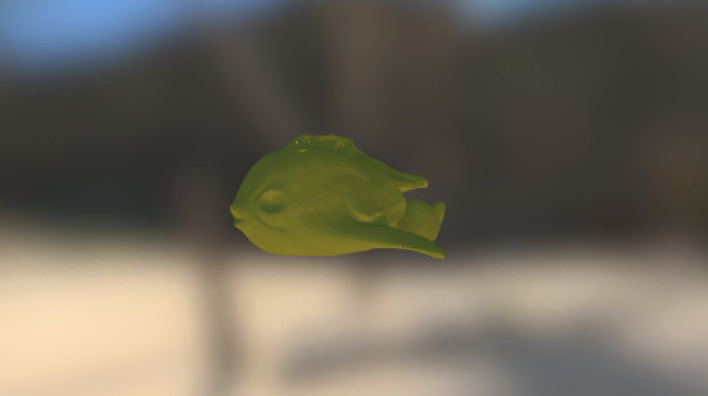 Fish