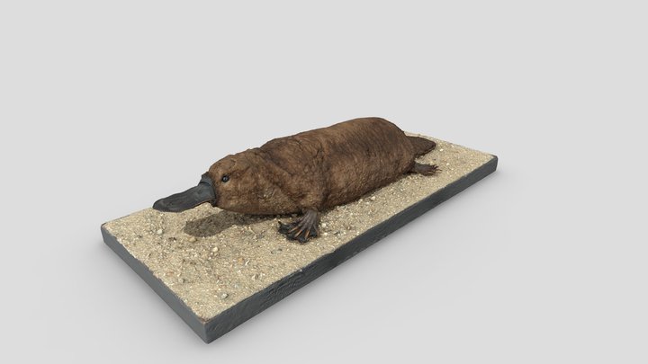 ZM210211#03 3D Model