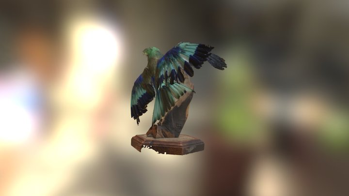 Bird 3D scan 3D Model