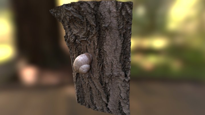 Snail on tree 3D Model