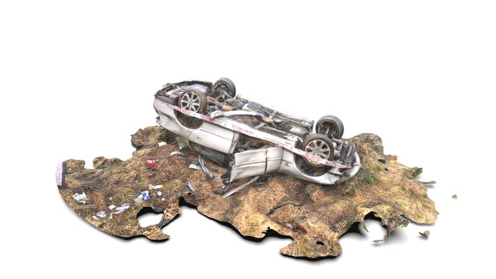 Software applicability test 3D Model